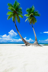 Similar image 18137330