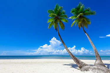 Similar image 18137339