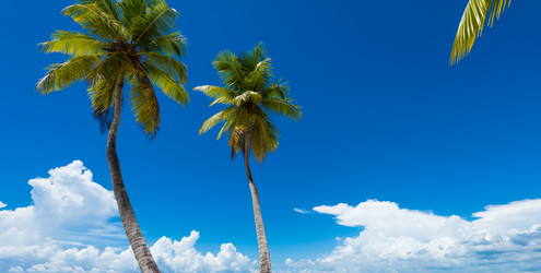 Similar image 18137349