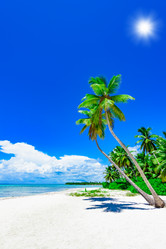 Similar image 18137345