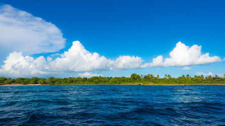 Similar image 18137394