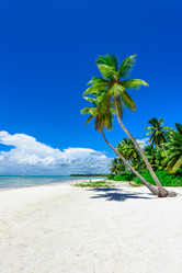 Similar image 18137397