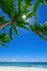 Similar image 18137416