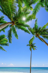 Similar image 18137420