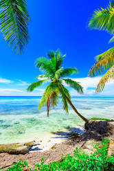 Similar image 18137424