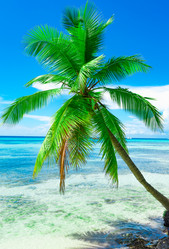 Similar image 18137450