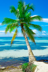 Similar image 18137492