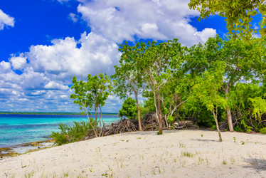 Similar image 18137498