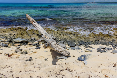 Similar image 18137496