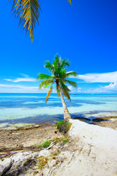 Similar image 18137501