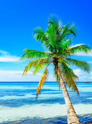 Similar image 18137509