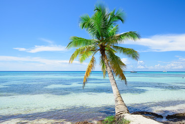 Similar image 18137503