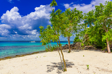 Similar image 18137507