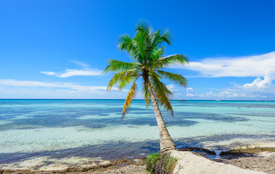 Similar image 18137511