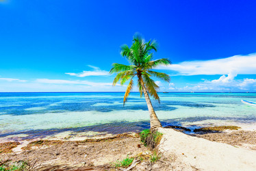 Similar image 18137495