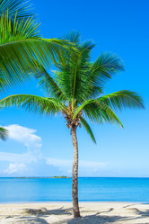 Similar image 18137560