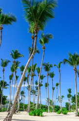 Similar image 18137606