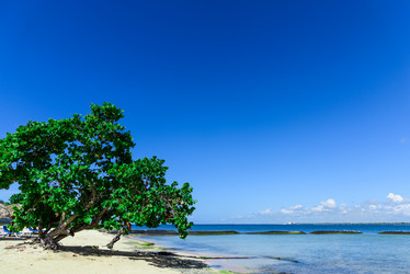 Similar image 18137643