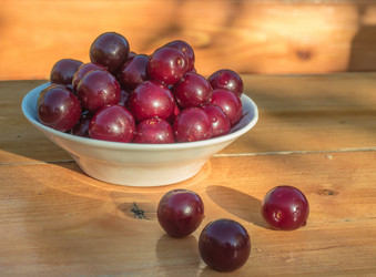 Similar image 18508621