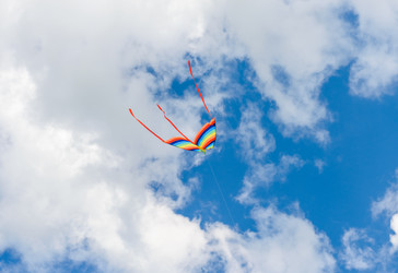 Similar image 18562831