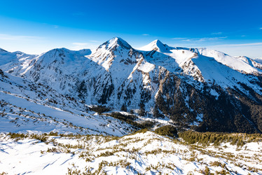 Similar image 18137513