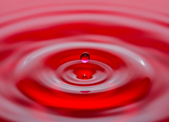 Similar image 18562790