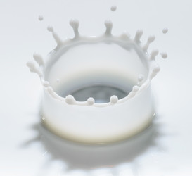 Similar image 18562956