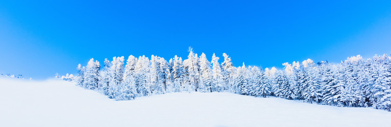 Similar image 18568818