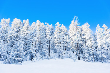 Similar image 18569015