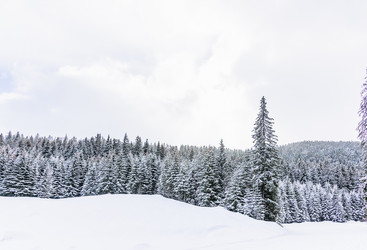 Similar image 18573211