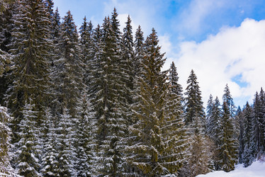 Similar image 18137004