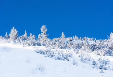 Similar image 18137070