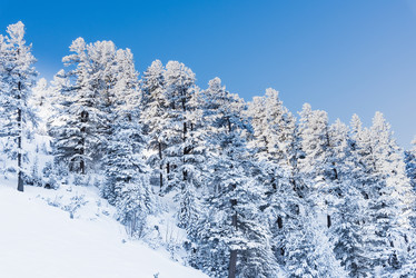 Similar image 18137080