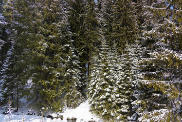 Similar image 18137649