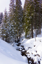 Similar image 18137691