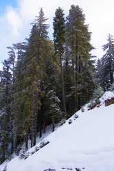 Similar image 18137692