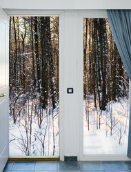 Similar image 18137800