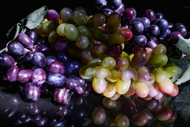 Similar image 18137090