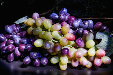 Similar image 18137119