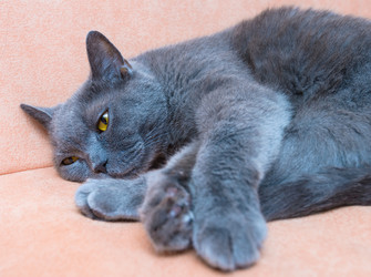 Similar image 18137124