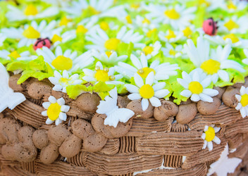 Similar image 18137198