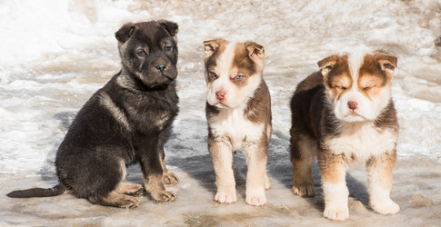 Similar image 18137469