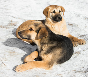 Similar image 18137542