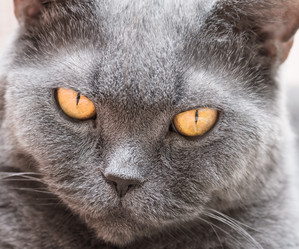 Similar image 18137544