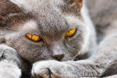 Similar image 18137545