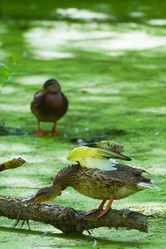 Similar image 18137528