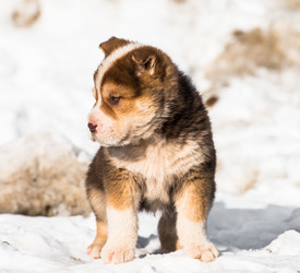 Similar image 18137523