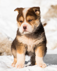 Similar image 18137529