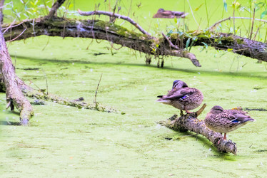 Similar image 18137575