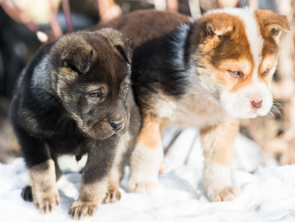 Similar image 18137579